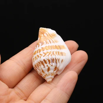 Jemné Prírodné Conch Slimák Korálky Voľné Sea Shell Guľôčok pre Šperky, Takže Diy Ženy Náramok, Náhrdelník Darčeky Domáce Dekorácie